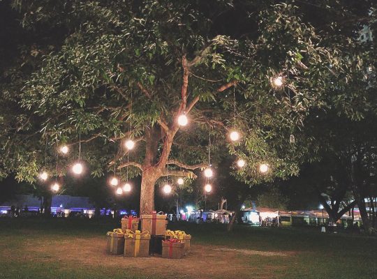 Arbre magnifique éclairé par des boules lumineuses