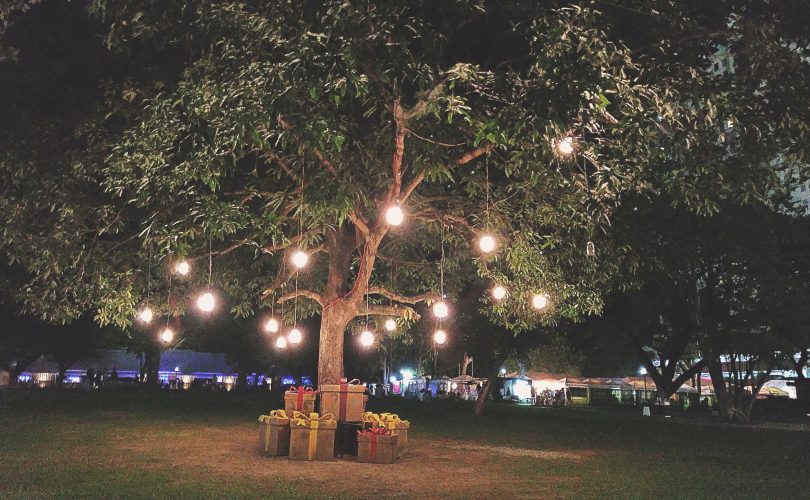 Arbre magnifique éclairé par des boules lumineuses