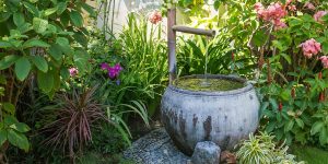 Fontaine de jardin au milieu des plantes