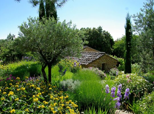 Maison entouré d'un beau jardin méditerranéen