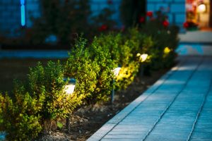 Une allée éclairée par des plots solaires